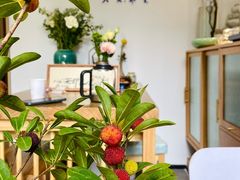 -大鱼·养生·禅洗头疗·按摩SPA
