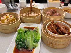 -金鼎轩(方庄天坛店)