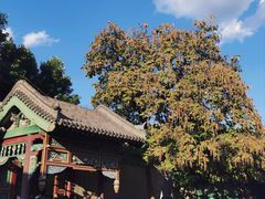 -张学良旧居陈列馆(大帅府)