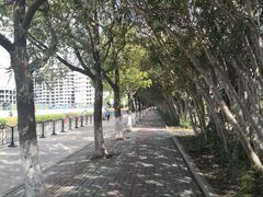 -碧海金沙