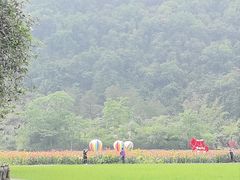 -靖西鹅泉风景区
