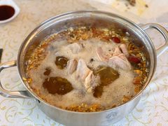 药膳乳鸽-百利鸽王(紫薇路店)