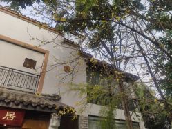 -莲生母婴月子中心(清水河公园店)