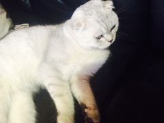 Mikaku(Mikaku万达店)-MIKAKU(万达广场上海宝山店)