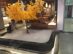 -鼎高高陕西美食(龙德广场店)