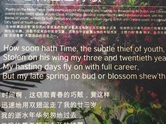 -上海游泳馆(地铁站)