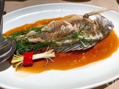 -金苑海鲜酒家(来魅力店)