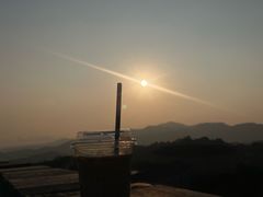 -黄贤森林公园