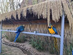 -西霞口神雕山野生动物世界