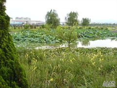 -河海大学(江宁校区)