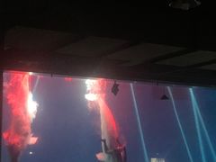 -芜湖新华联大白鲸海洋公园