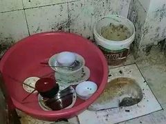 android_upload_pic-老财炒饭·熟地蟹·冬瓜蟹