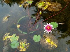 -上海市龙华烈士陵园