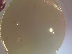 -湛记蘸水米线(粉巷店)