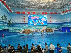 -多彩贵州城极地海洋世界