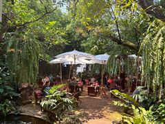 -Fern Forest Cafe