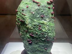 -湖南省地质博物馆