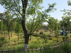 -上海长兴岛郊野公园