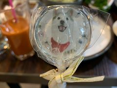 -Husky Go! 哈士奇体验馆·宠物咖啡厅狗咖