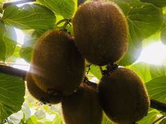 -陕西省红河谷森林公园