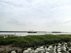 -碧海金沙