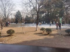 -鸡鸣汤包(红山动物园店)