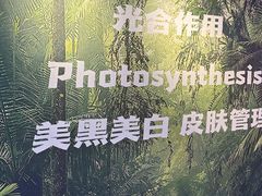 -悠乐汇
