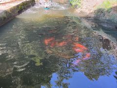 -途中饭店(开化店)