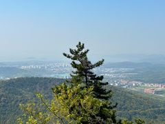 -惠山国家森林公园
