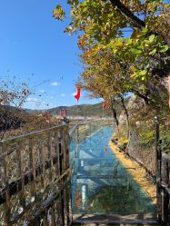 -青龙渔业旅游景区
