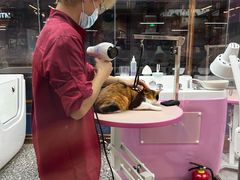 -FAELING PETS美天灵宠物(富力广场店)