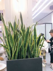 -FUTURE HN男士发型风格设计