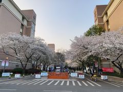 -浙江大学(玉泉校区)