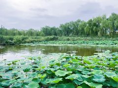 -济南大明湖景区