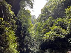 -碧峰峡风景区