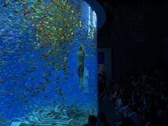 -合肥海洋世界