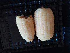 玉米-陈家镇裕安农贸市场