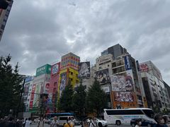 -秋叶原电器街