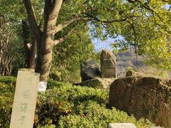 -白马涧龙池景区