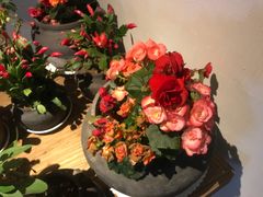 -瓦库茶馆17号(海汇港店)