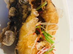 -翠府(翠湖北路店)