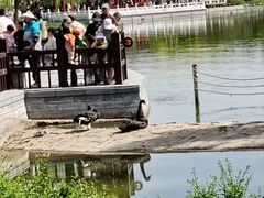 -西海子公园