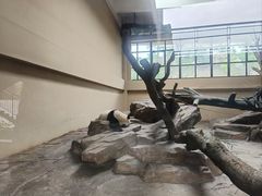 -宁波野生动物园