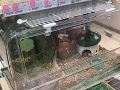 -FAELING PETS美天灵宠物(合生汇店)