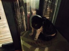 -有才叔的小馆(招商依云曲江店)