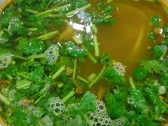 -杨记拉面总店