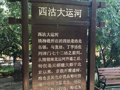 -桃花堤公园
