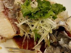 清蒸苏丹鱼-新加坡海鲜共和(名胜世界圣淘沙海滨坊)