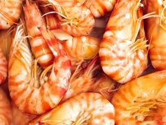 -北塘海鲜·天津菜(大光明桥旗舰店)