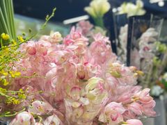 -双季花艺园艺市场(浦东店)